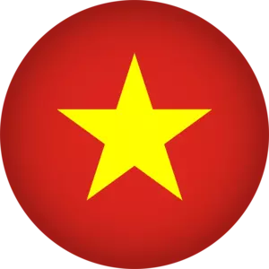 BK8 Vietnam Flag